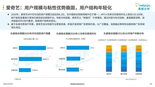 互联网广告营销,企业的必备技能